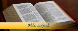 A Bíblia Online Católica